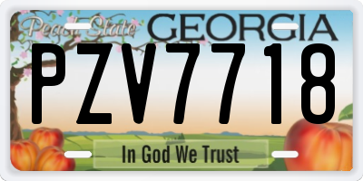 GA license plate PZV7718