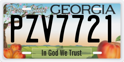 GA license plate PZV7721