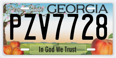 GA license plate PZV7728