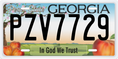 GA license plate PZV7729