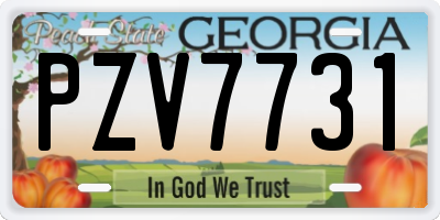 GA license plate PZV7731