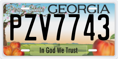 GA license plate PZV7743