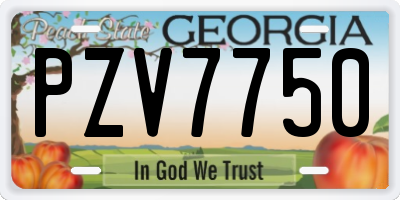 GA license plate PZV7750
