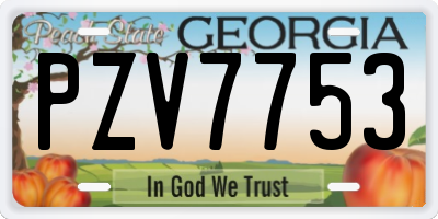 GA license plate PZV7753