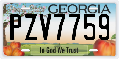 GA license plate PZV7759
