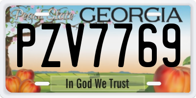 GA license plate PZV7769
