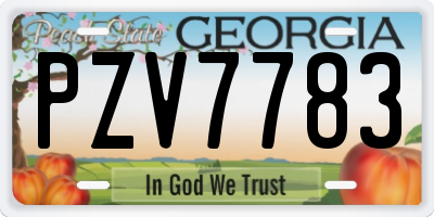 GA license plate PZV7783