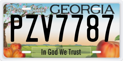 GA license plate PZV7787