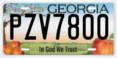 GA license plate PZV7800