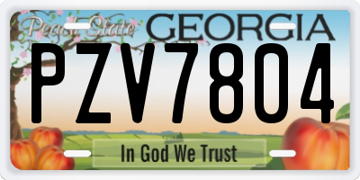 GA license plate PZV7804