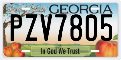 GA license plate PZV7805