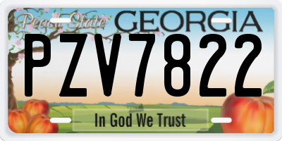 GA license plate PZV7822