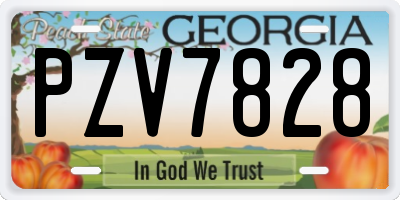 GA license plate PZV7828