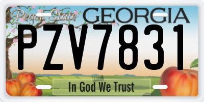 GA license plate PZV7831