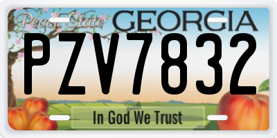 GA license plate PZV7832