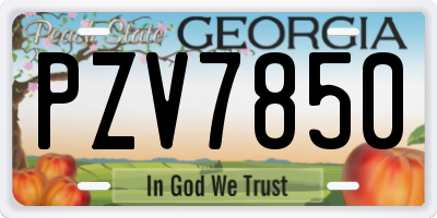 GA license plate PZV7850