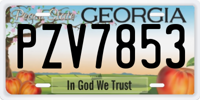 GA license plate PZV7853