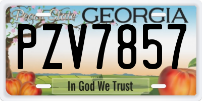 GA license plate PZV7857