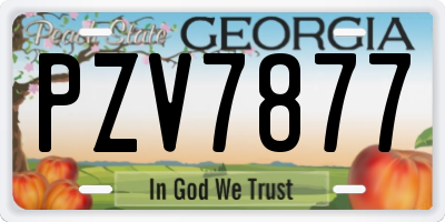 GA license plate PZV7877