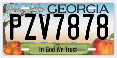 GA license plate PZV7878