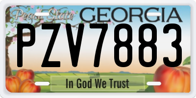 GA license plate PZV7883