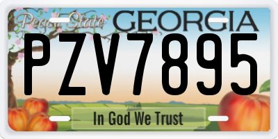 GA license plate PZV7895