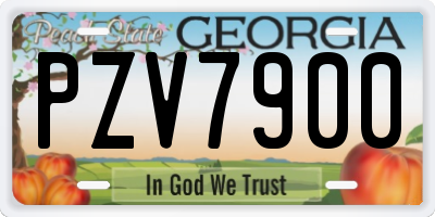 GA license plate PZV7900