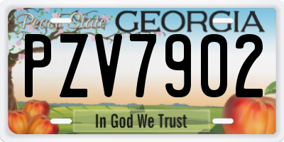 GA license plate PZV7902
