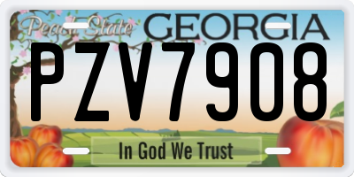 GA license plate PZV7908