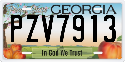 GA license plate PZV7913