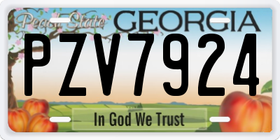 GA license plate PZV7924