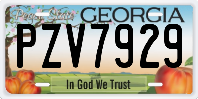 GA license plate PZV7929