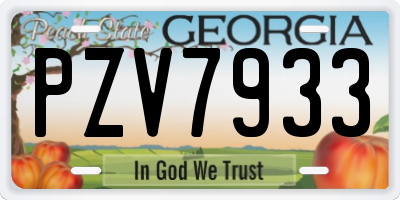 GA license plate PZV7933