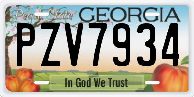 GA license plate PZV7934