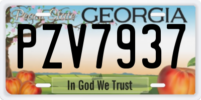 GA license plate PZV7937