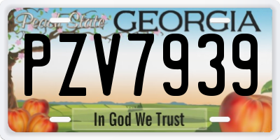 GA license plate PZV7939