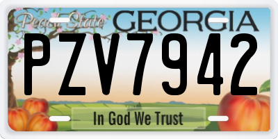GA license plate PZV7942
