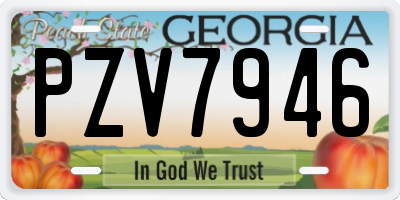 GA license plate PZV7946