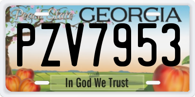 GA license plate PZV7953