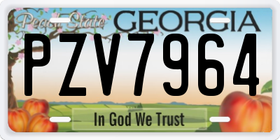 GA license plate PZV7964