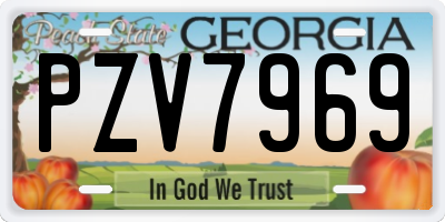 GA license plate PZV7969