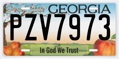 GA license plate PZV7973