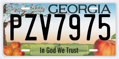 GA license plate PZV7975