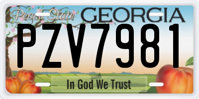 GA license plate PZV7981
