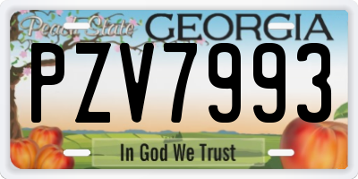 GA license plate PZV7993