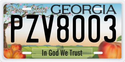GA license plate PZV8003