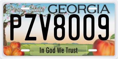GA license plate PZV8009