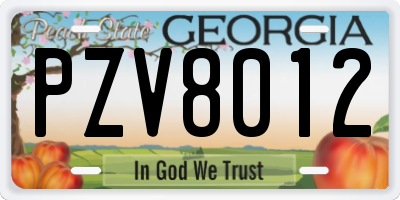 GA license plate PZV8012