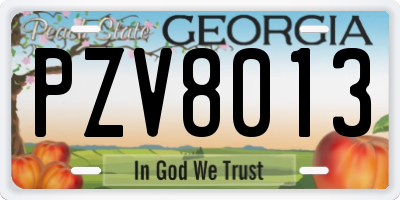 GA license plate PZV8013