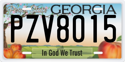 GA license plate PZV8015